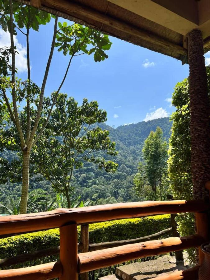 Bwindi Forest Lodge Buhoma Exterior foto